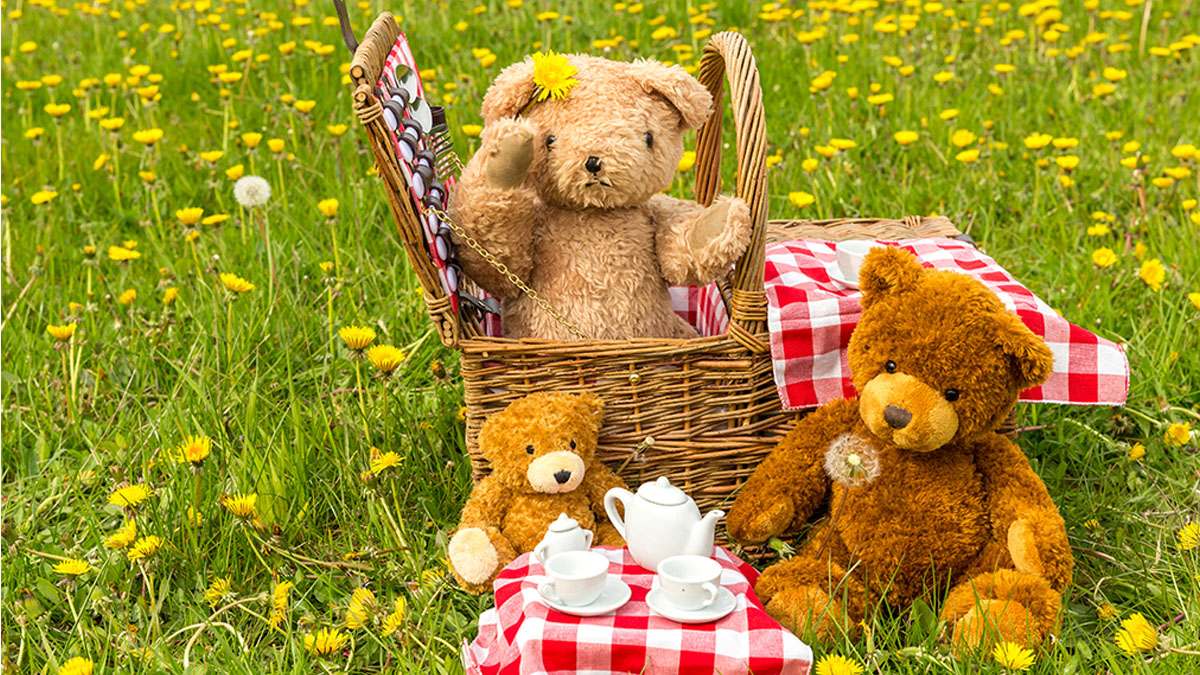 Teddy Bear Picnic at Jewett Park Community Center in Deerfield